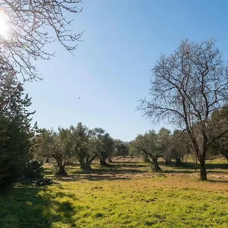 Finca El Palomar De La Vina Madrid Exterior foto